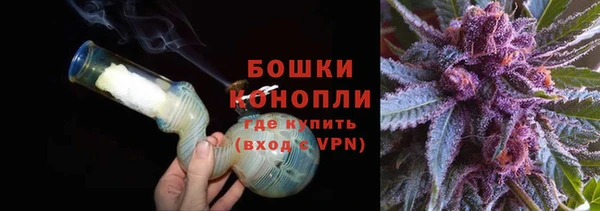 ПСИЛОЦИБИНОВЫЕ ГРИБЫ Балабаново