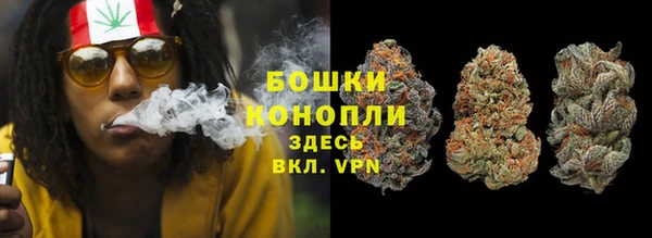 прущие крисы Балахна