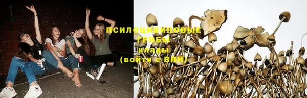 прущие крисы Балахна