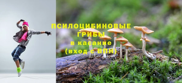 ПСИЛОЦИБИНОВЫЕ ГРИБЫ Балабаново