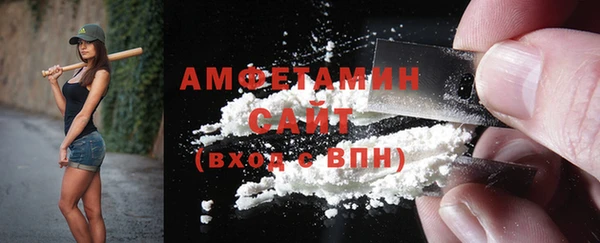 индика Струнино