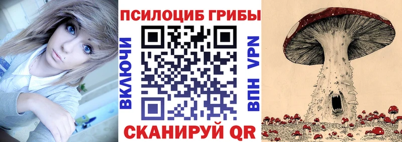 Псилоцибиновые грибы мухоморы  blacksprut как зайти  Гороховец 